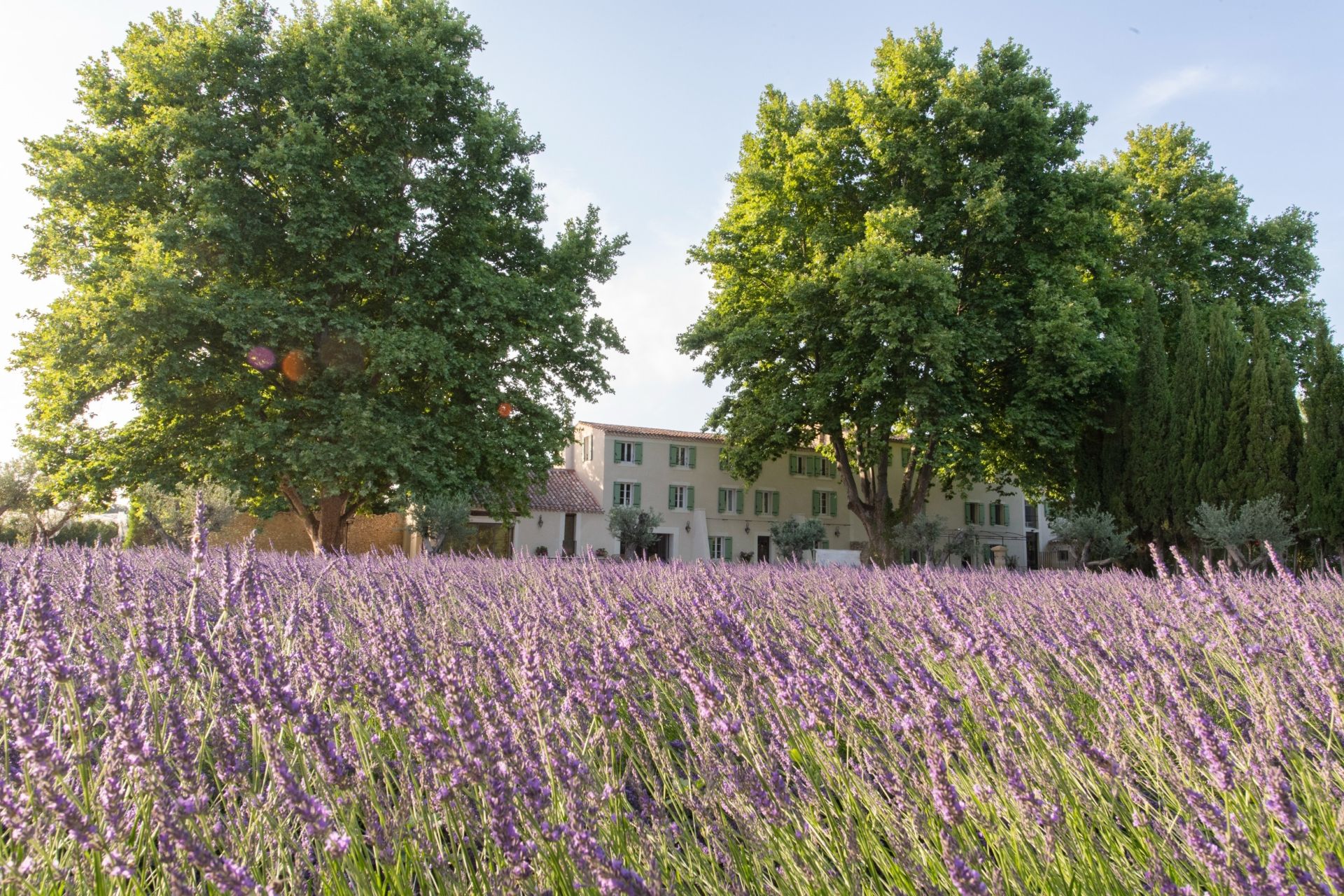 bastide 12 Rooms for seasonal rent on L ISLE SUR LA SORGUE (84800)