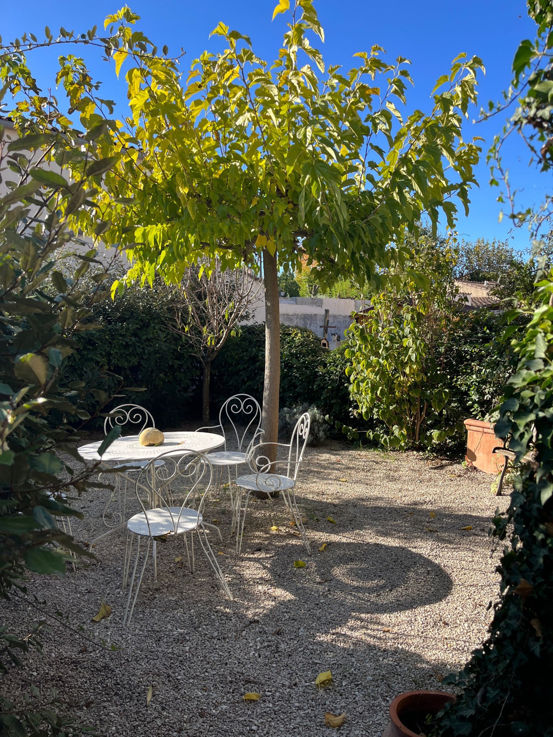 apartment 1 room for sale on ST REMY DE PROVENCE (13210)