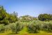 house 10 Rooms for sale on ST REMY DE PROVENCE (13210)