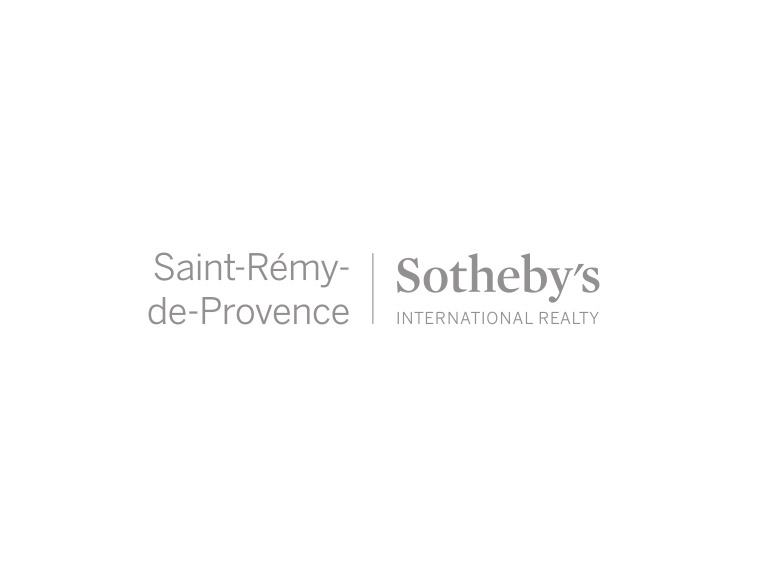 Vente Maison Saint-Rémy-de-Provence 9 Pièces 300 m²